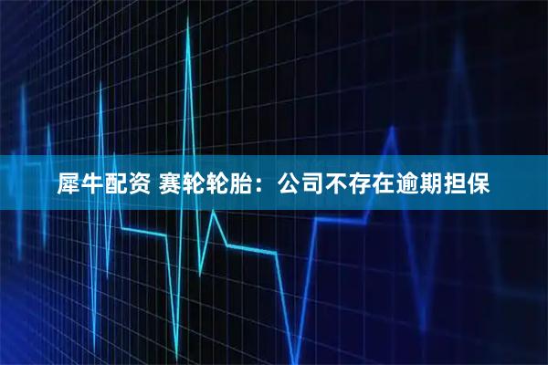 犀牛配资 赛轮轮胎：公司不存在逾期担保